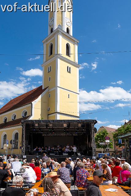 Fotto Laudi_donaujazz-28.jpg
